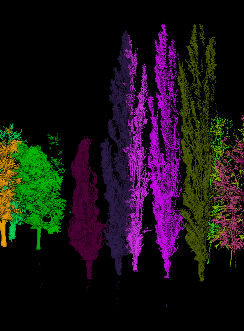 analisi tecnica dei campi e delle piante agricoltura di precisione - strumenti topografici