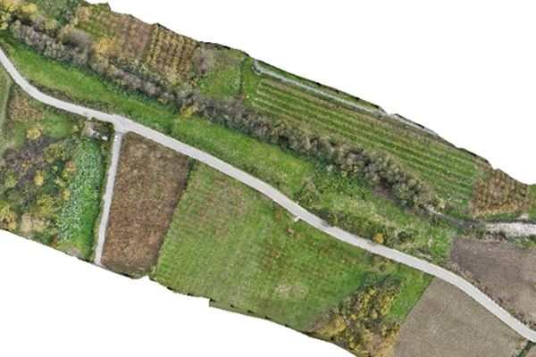 ortofoto georeferenziate con un clic - software metashape strumenti topografici