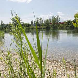 Rilievi termografici per controllare la qualità dell'acqua