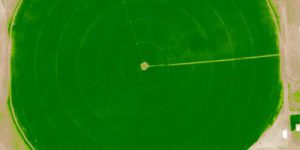 Elaborazioni di immagini multispettrali con Agisoft Metashape