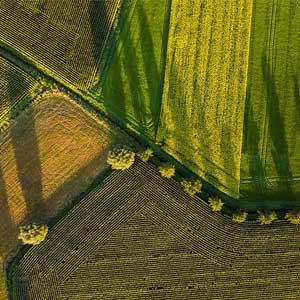 Agricoltura aerea rilevo con drone