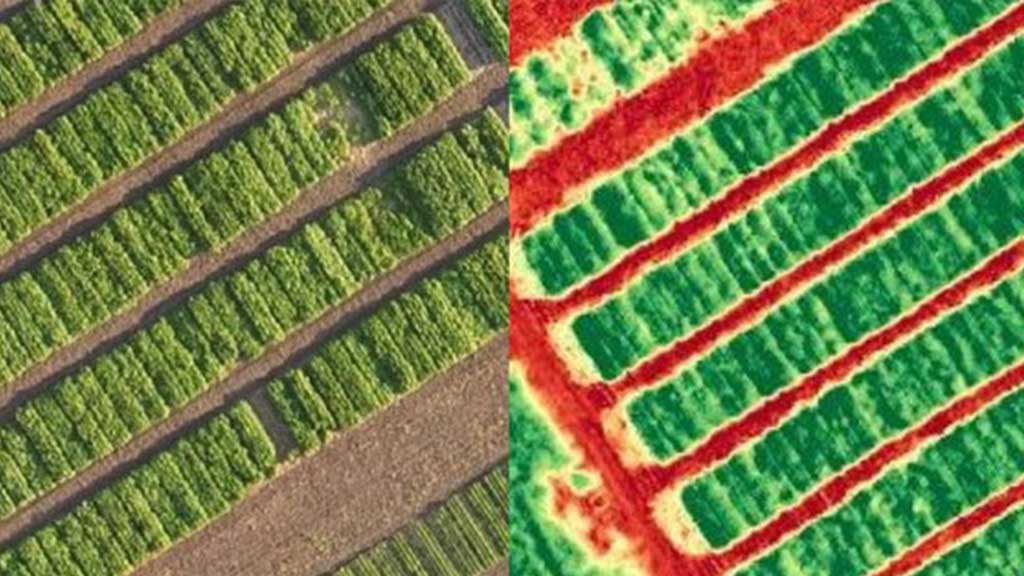 Agricoltura di precisione