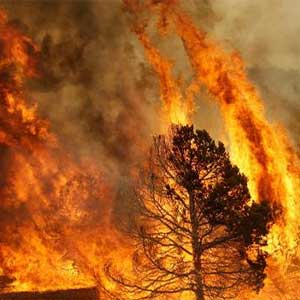 Rilievi termografici per monitorare gli incendi