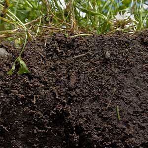 Rilievi termografici per controllare la perdita e la presenza di liquidi nel terreno