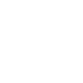 icona-radiocomando-dji-mavic