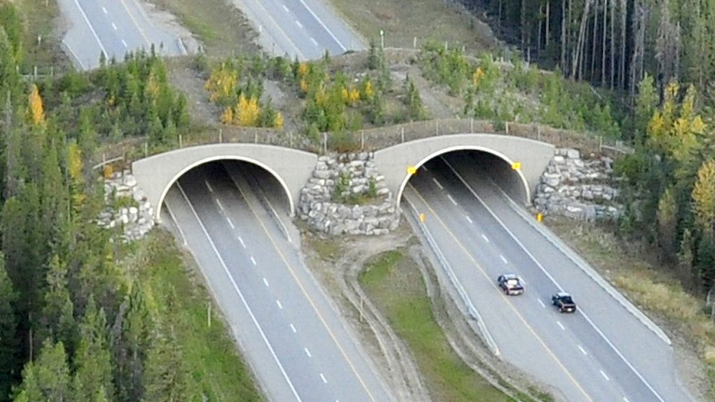 Servizi di rilievo di Infrastrutture